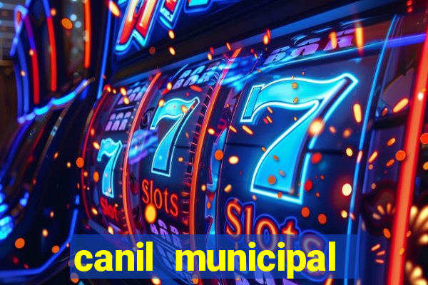 canil municipal porto alegre